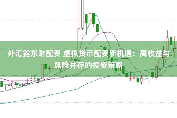 外汇鑫东财配资 虚拟货币配资新机遇：高收益与风险并存的投资策略