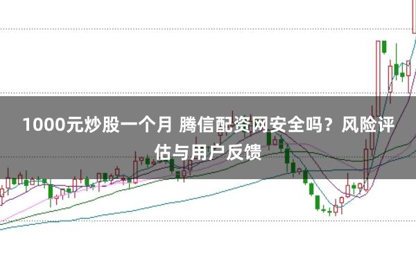 1000元炒股一个月 腾信配资网安全吗？风险评估与用户反馈