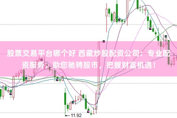 股票交易平台哪个好 西藏炒股配资公司：专业配资服务，助您驰骋股市，把握财富机遇！