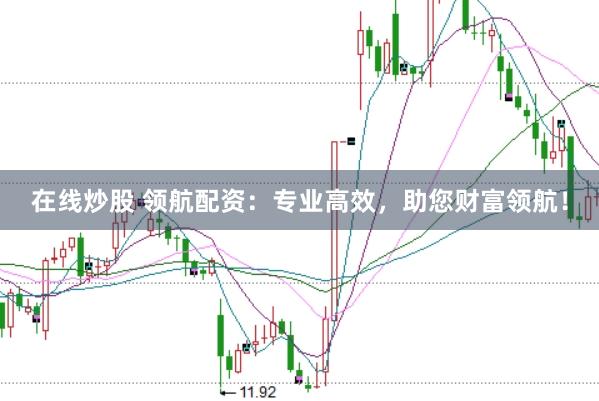 在线炒股 领航配资：专业高效，助您财富领航！