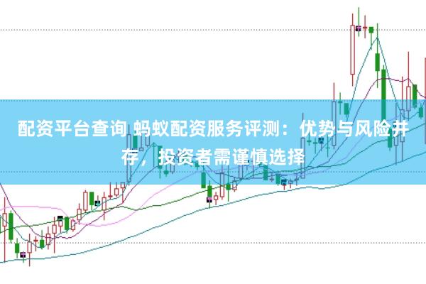 配资平台查询 蚂蚁配资服务评测：优势与风险并存，投资者需谨慎选择