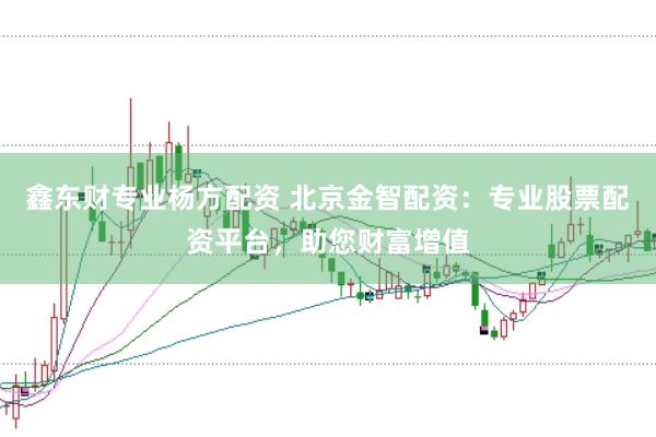 鑫东财专业杨方配资 北京金智配资：专业股票配资平台，助您财富增值