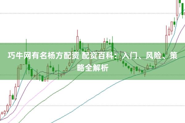 巧牛网有名杨方配资 配资百科：入门、风险、策略全解析