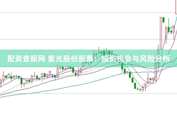 配资查股网 紫光股份股票：投资机会与风险分析