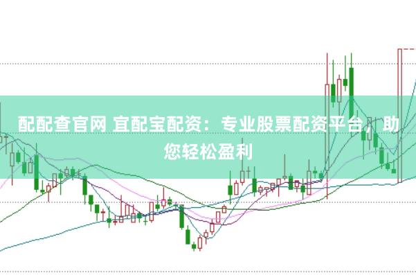 配配查官网 宜配宝配资：专业股票配资平台，助您轻松盈利