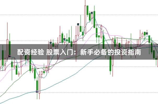 配资经验 股票入门：新手必备的投资指南