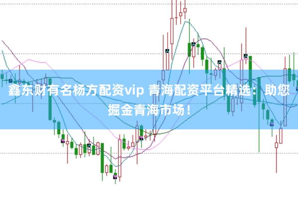 鑫东财有名杨方配资vip 青海配资平台精选：助您掘金青海市场！