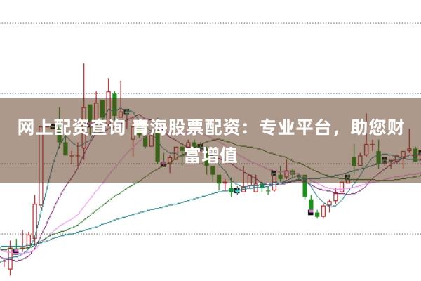 网上配资查询 青海股票配资：专业平台，助您财富增值