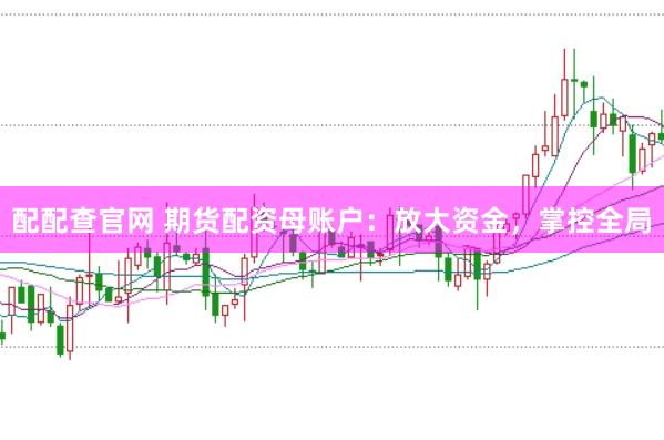 配配查官网 期货配资母账户：放大资金，掌控全局