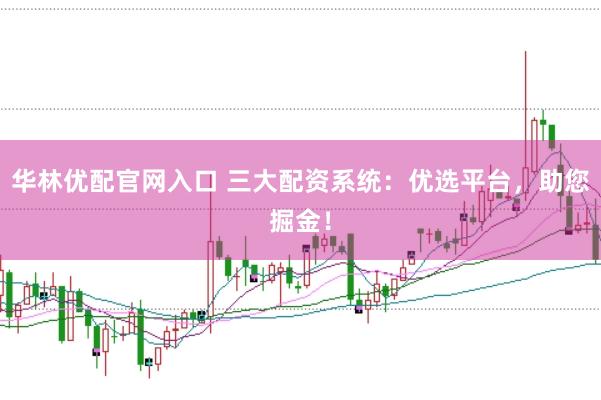 华林优配官网入口 三大配资系统：优选平台，助您掘金！