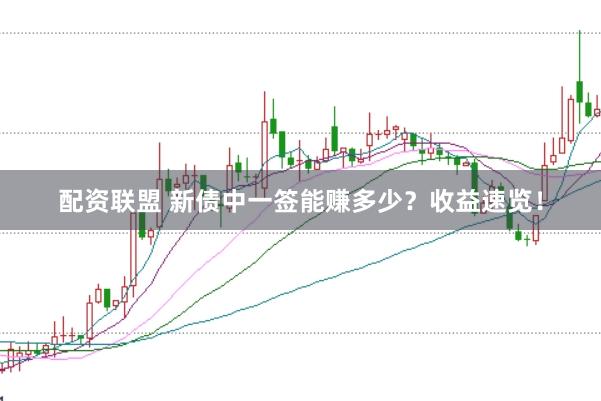 配资联盟 新债中一签能赚多少?收益速览!