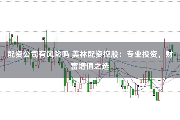 配资公司有风险吗 美林配资控股:专业投资,财富增值之选