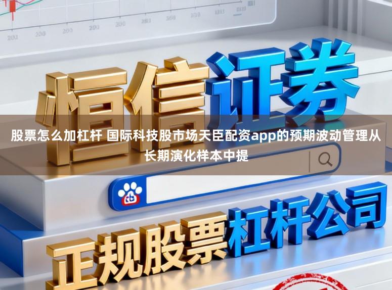 股票怎么加杠杆 国际科技股市场天臣配资app的预期波动管理从长期演化样本中提