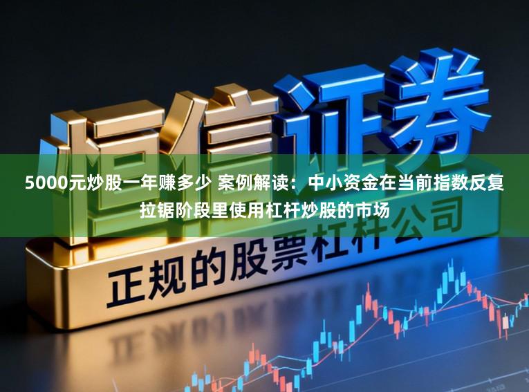 5000元炒股一年赚多少 案例解读：中小资金在当前指数反复拉锯阶段里使用杠杆炒股的市场
